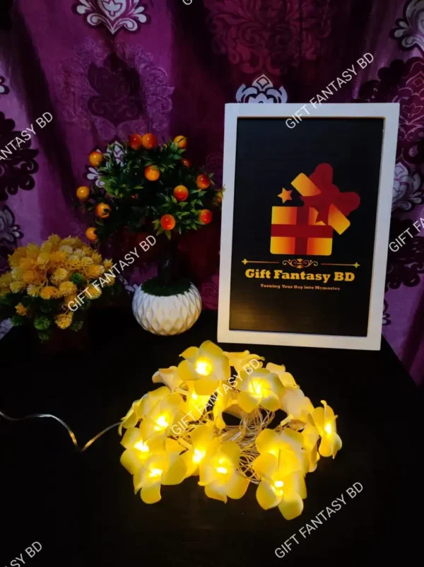 Kath Golap Light 20 pcs Set - Image 3