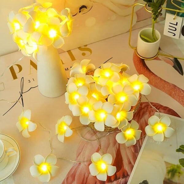 Kathgolap Light